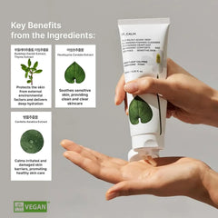 HUE_CALM Heartleaf Calming Cleansing Foam