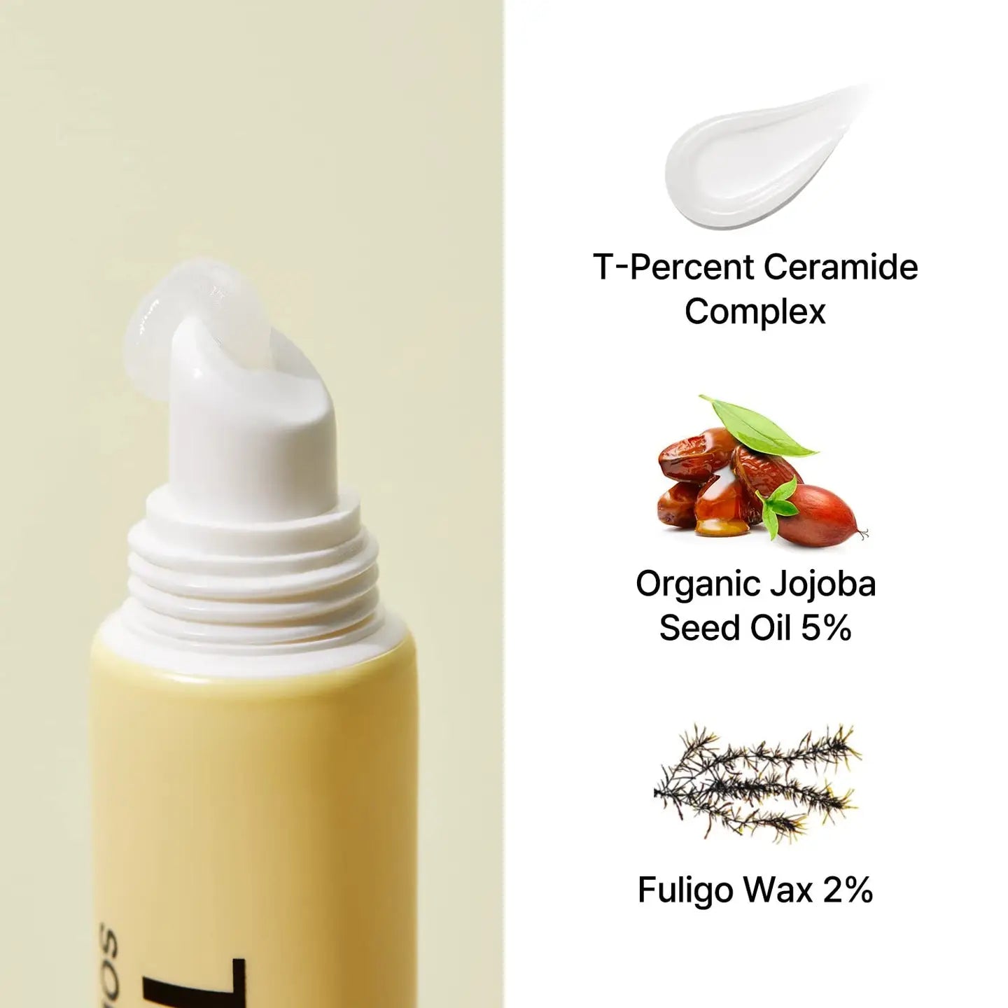 Torriden Ceramide Lip Essence